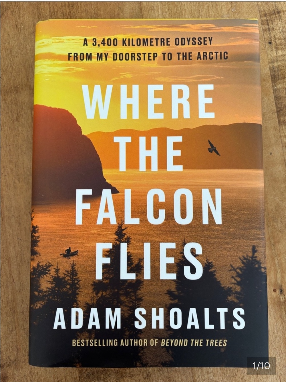 Corn Stuffy & Where The Falcon Flies Book LOT